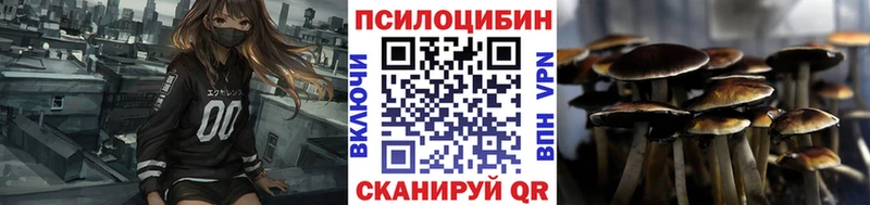 Галлюциногенные грибы Cubensis  даркнет наркотические препараты  Кемерово 